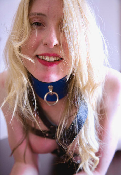 aussieropeworks best star photo