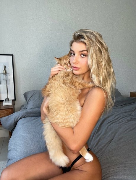 bbc rimming onlyfans hd photo