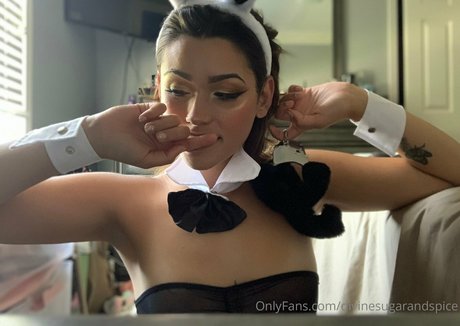 divinesugarandspice nice star pics