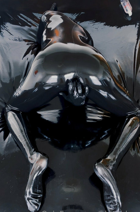 blgrubber pornstar nude pics