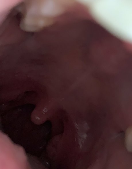 aliceeats pretty actress gallery