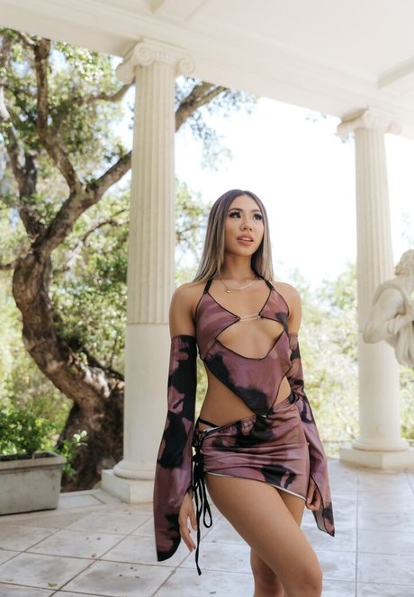 Elizaachar hd star archive