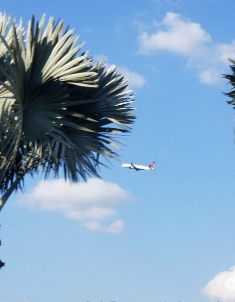 raina traina pretty pornstar image