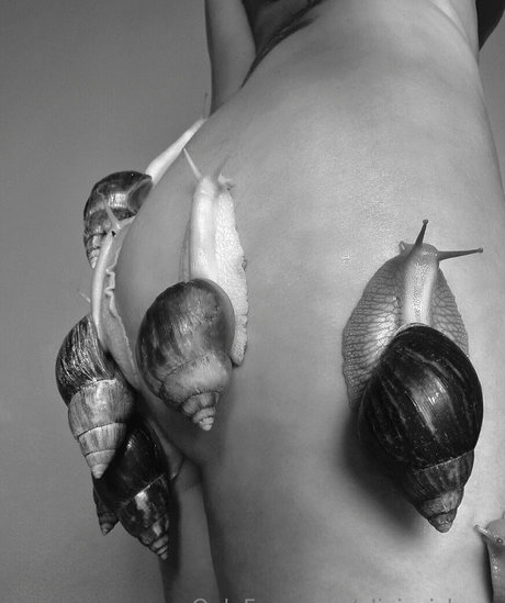 oliviezizkova pornstar adult images