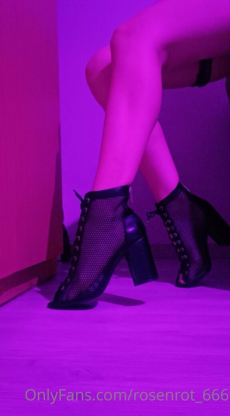 rosenrot 666 free star images