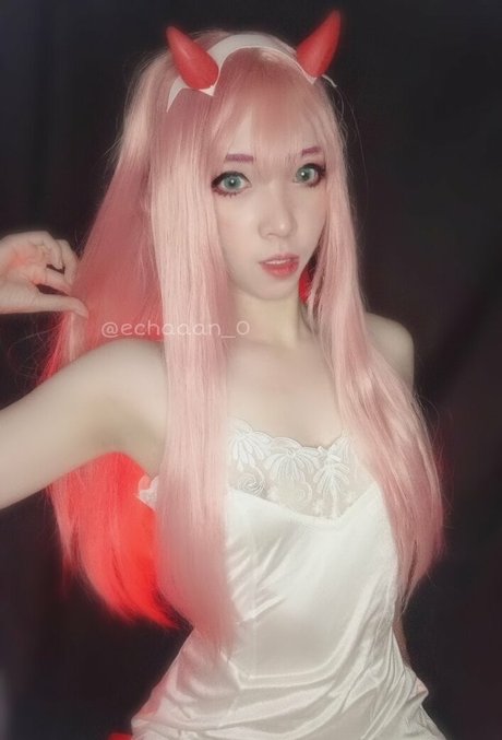 Echan_ model best img