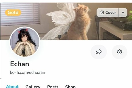 Echan_ star perfect archive