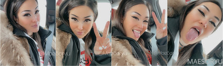 maesoryu free star picture