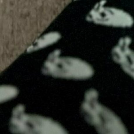 jordanhead star erotic galleries