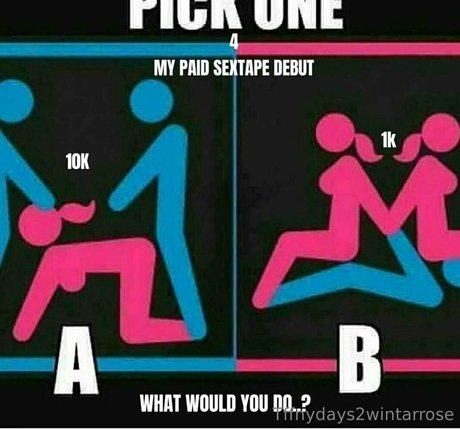 tffnydays2wintarrose model art gallery