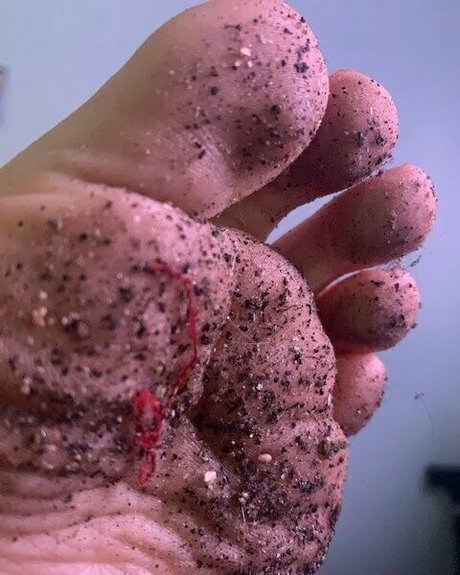 erisstardust star nice photos