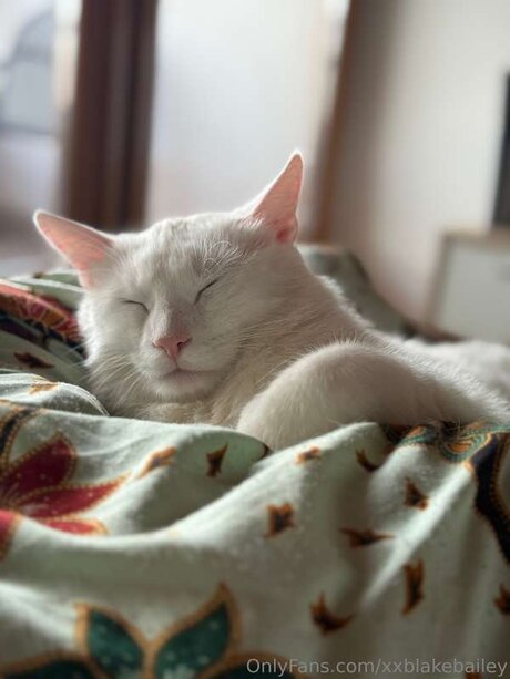 XxBlakeBailey model hot pics