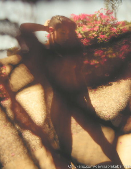 davinablakebellfree star art pictures