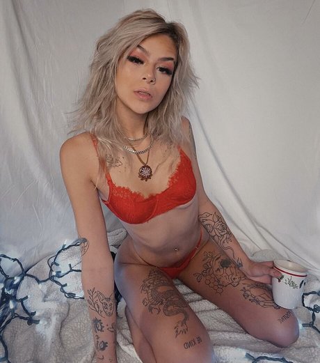 pyxiedragon star free photos