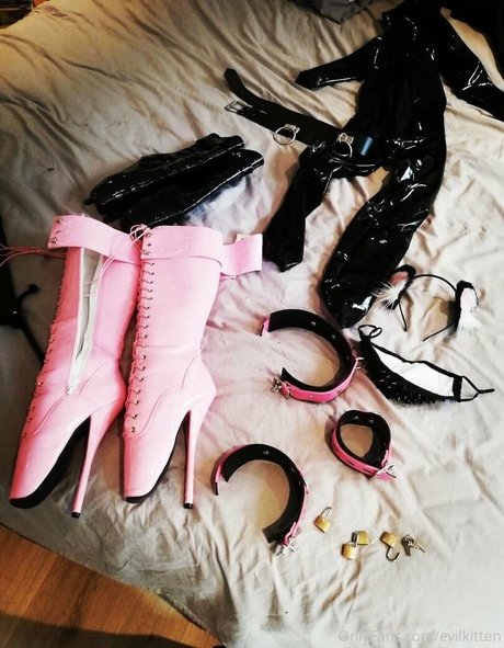 evilkitten best model images