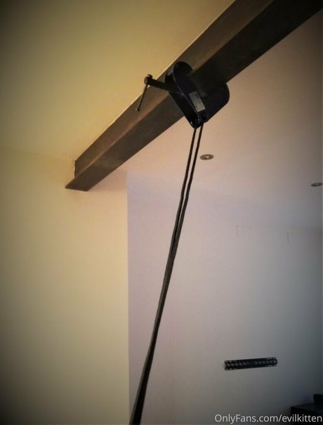 evilkitten erotic star images