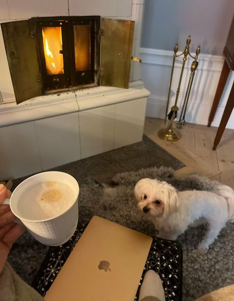 wilda se sex star gallery