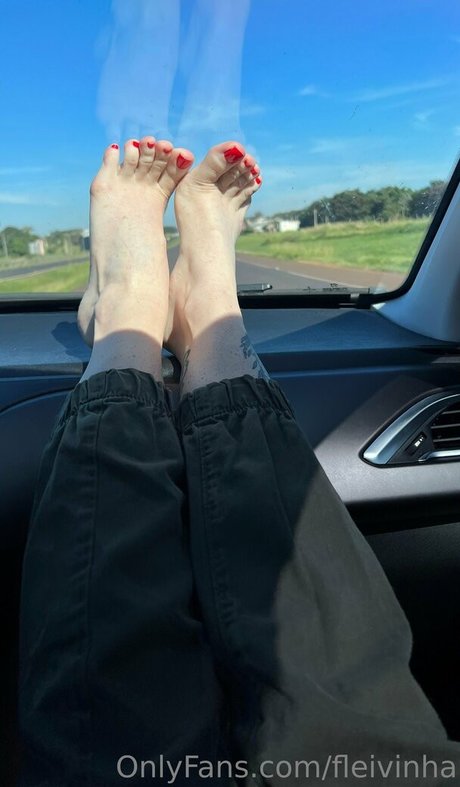 fleivinha top star gallery