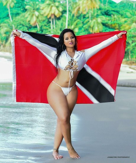 Toni Salina Chee Young hot star image