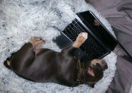 skinny asian teen onlyfans free sexy pics