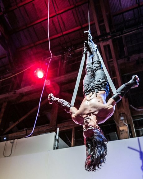 kinkyninjawolf star high quality pic