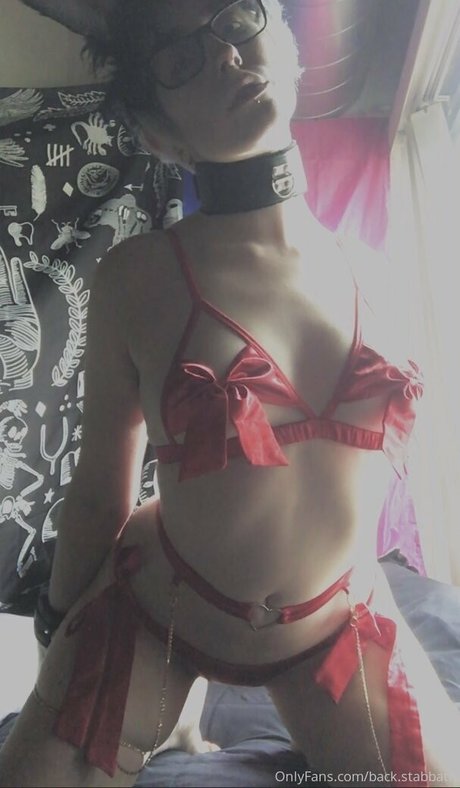 catboibloosy star high quality image