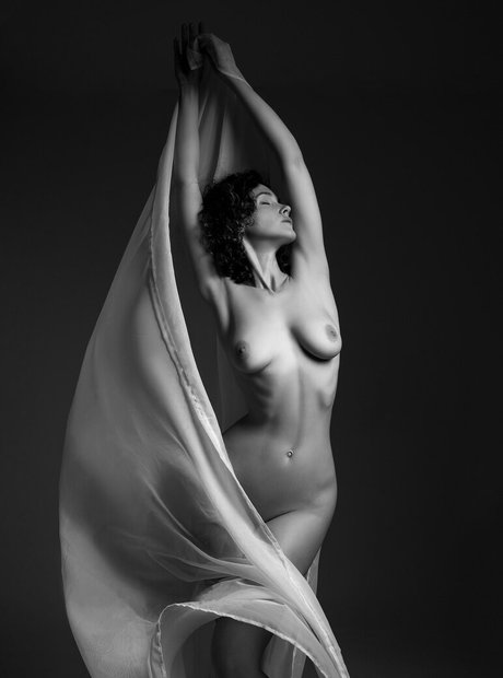 Tim Redu art star galleries