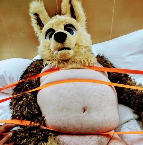 ad dragonwolf free star archive