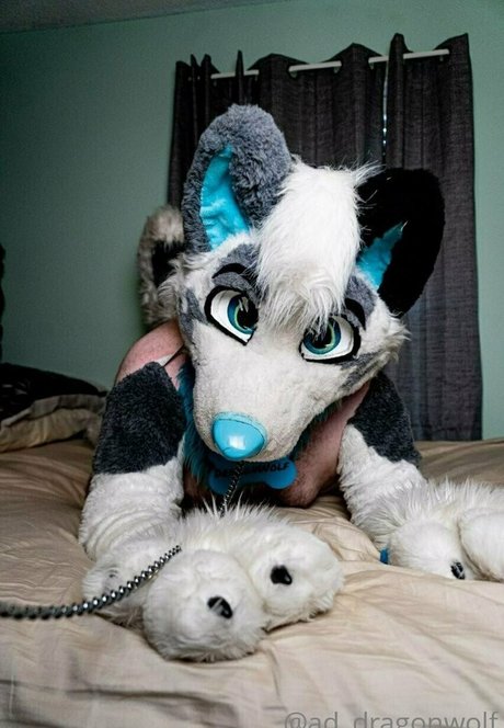 ad dragonwolf top actress pic