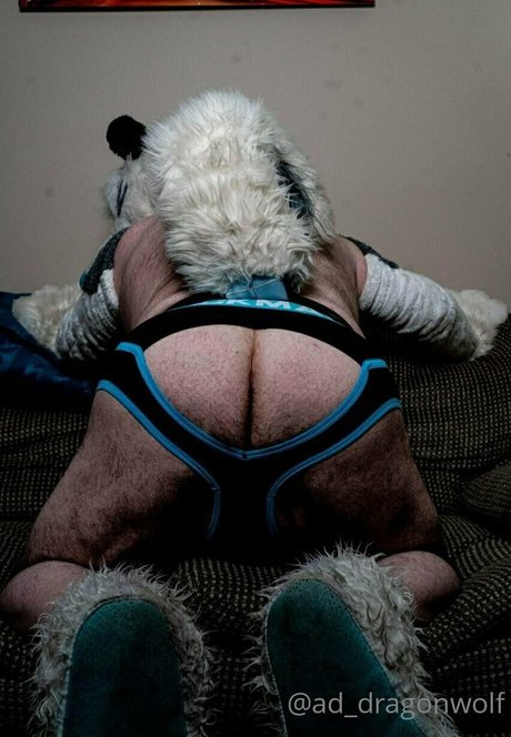 ad dragonwolf nude star pic