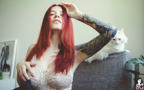 Cvrmillv erotic pornstar image