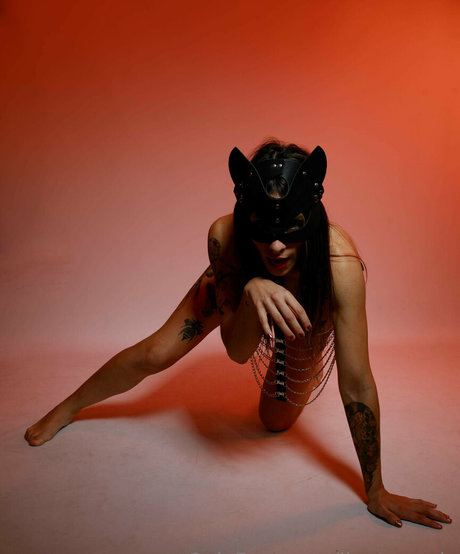 jinetamaria adult model images