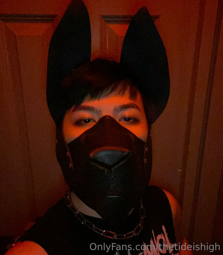 thetideishigh perfect star gallery