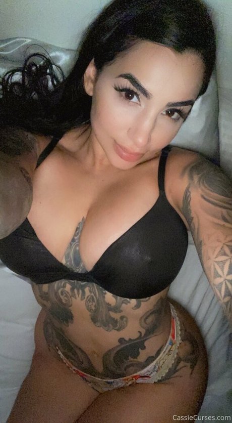 cassiecursesfree xxx pornstar archive