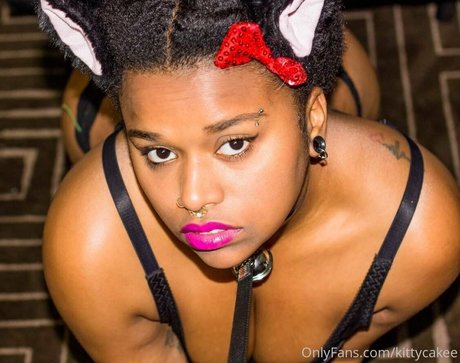 jewel kitten high quality star galleries