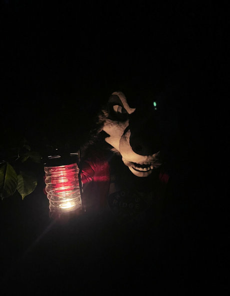 emmawerewuff hot star gallery