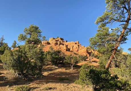 emmawerewuff high quality star images