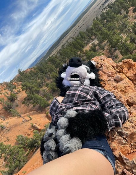 emmawerewuff nice star images