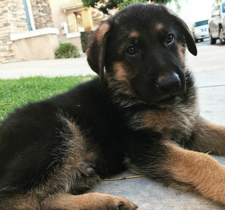 vip onlyfans beautiful nude gallery