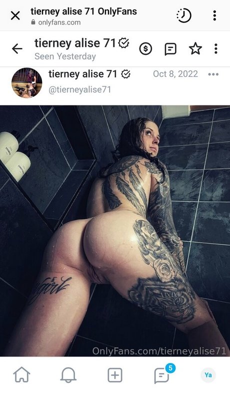 Barrel racer71 free model img