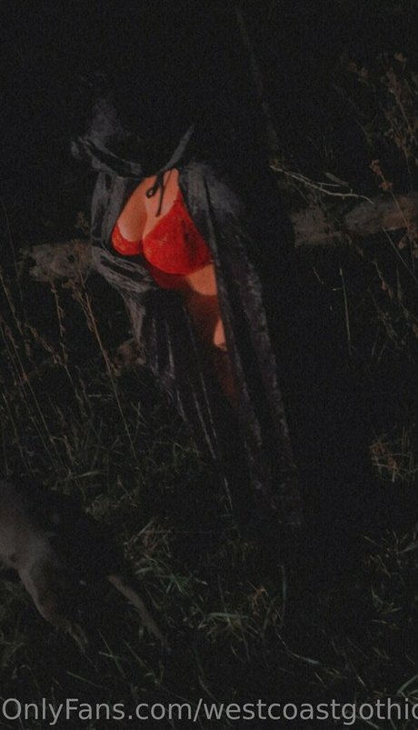 westcoastgothic star pretty gallery