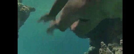 asmr xxx onlyfans sexy nude img