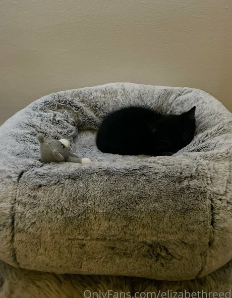 elizabethreed best star picture