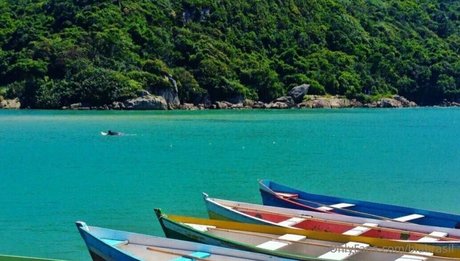 biabrasil free pornstar galleries