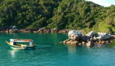 biabrasil xxx actress image