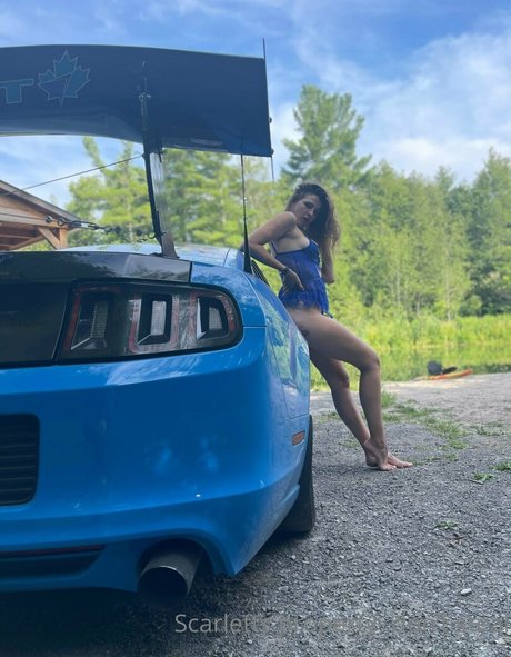 violet scarlet top model picture