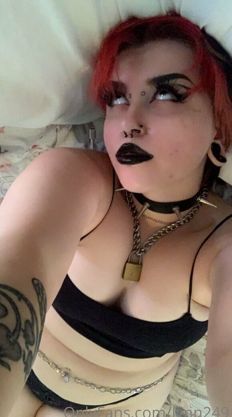 lynn249 star adult img