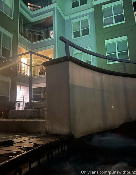 punzwithbunz porn actress pics