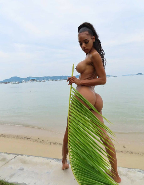 Larissa Castr0 star free archive