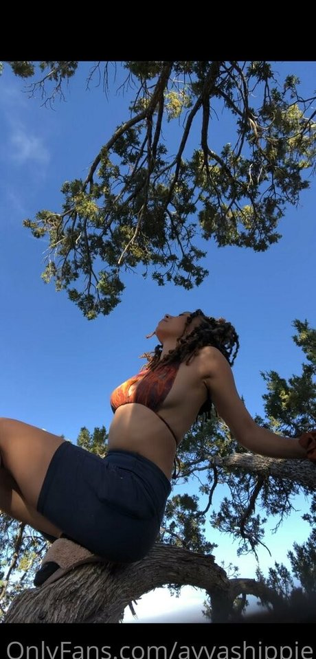 ayvashippie star sex photo